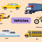 What Types of Vehicles Can Be Transported?