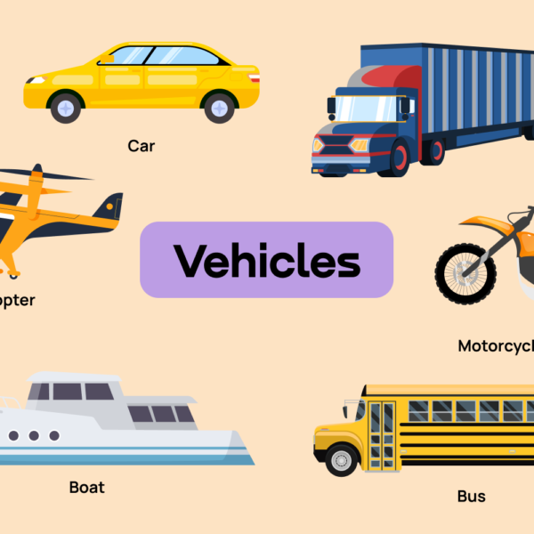 What Types of Vehicles Can Be Transported?