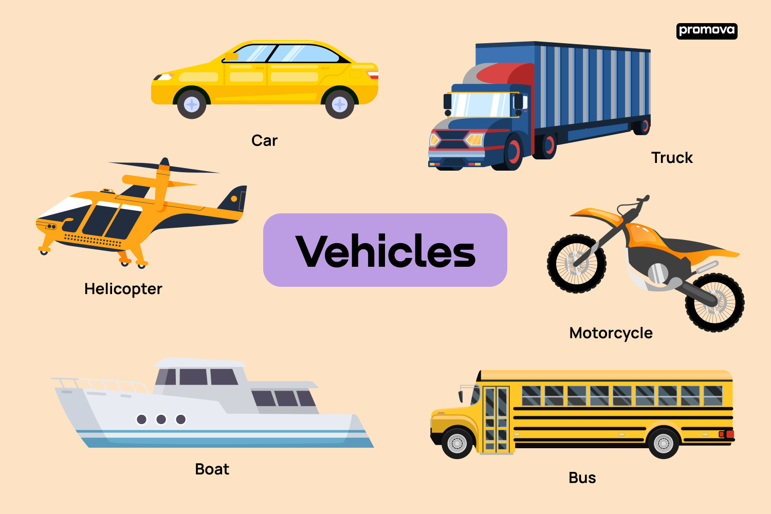 What Types of Vehicles Can Be Transported?